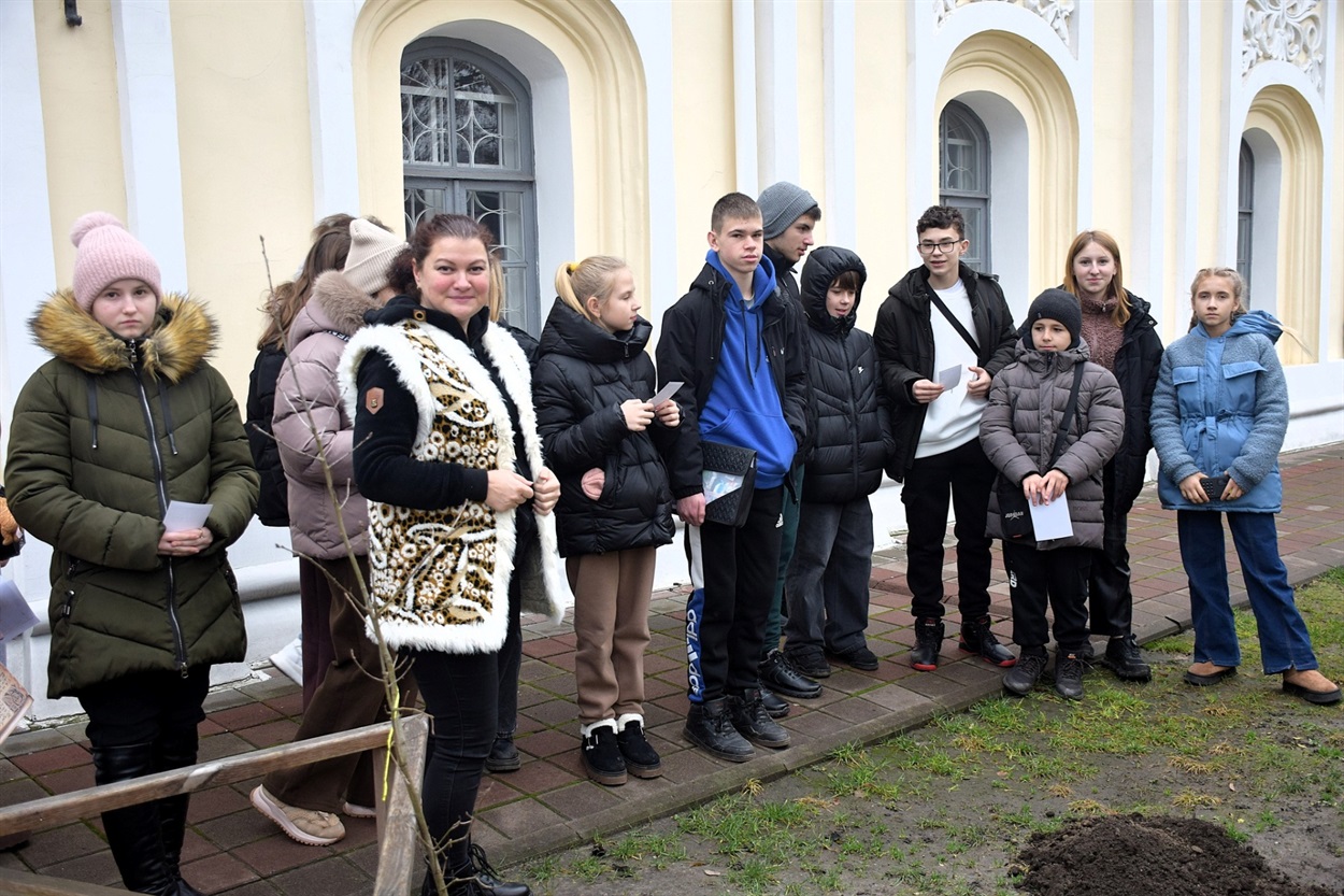 Саджанець нащадка дуба Сковороди висадили в Переяславі, його передали музейники з Харківщини
