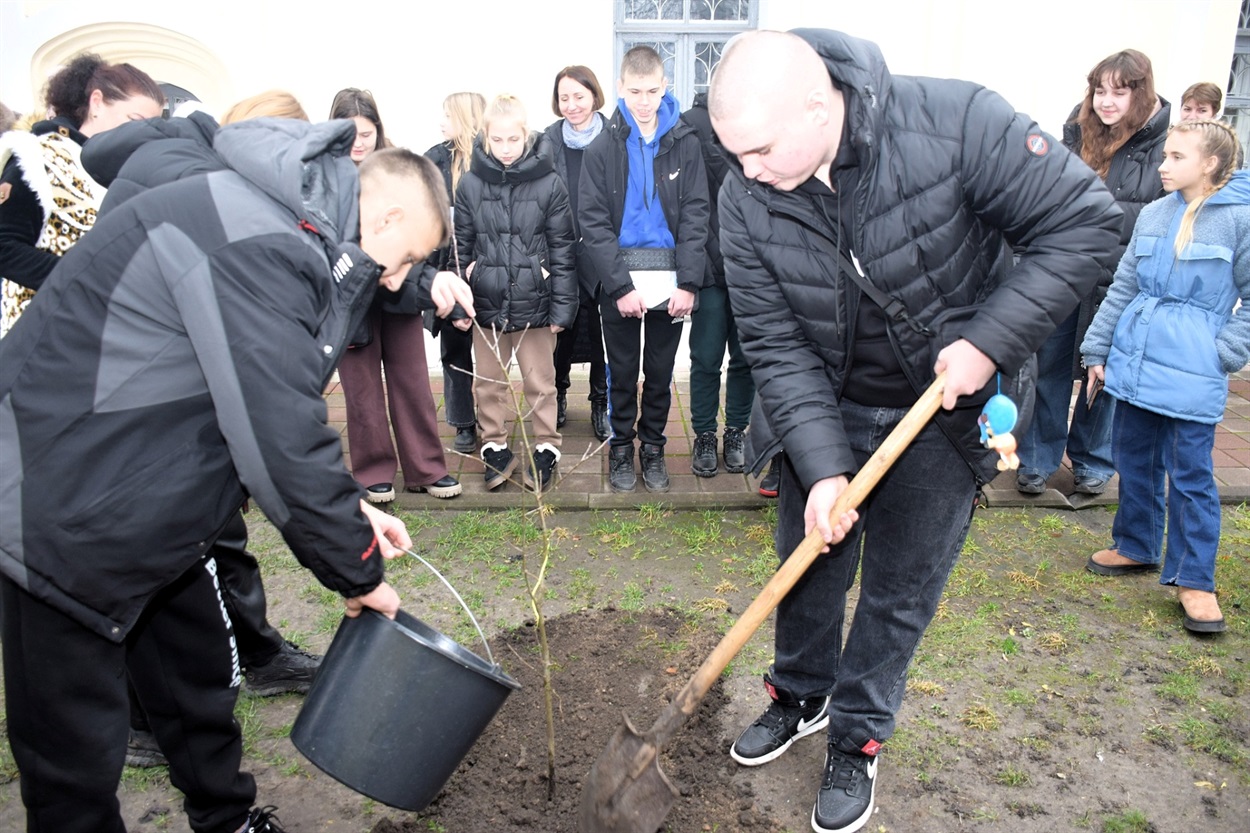 Саджанець нащадка дуба Сковороди висадили в Переяславі, його передали музейники з Харківщини