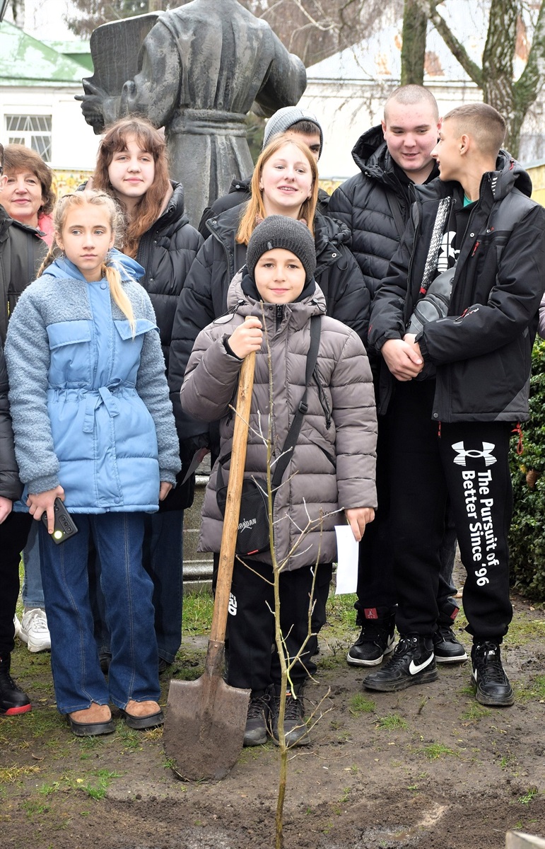 Саджанець нащадка дуба Сковороди висадили в Переяславі, його передали музейники з Харківщини