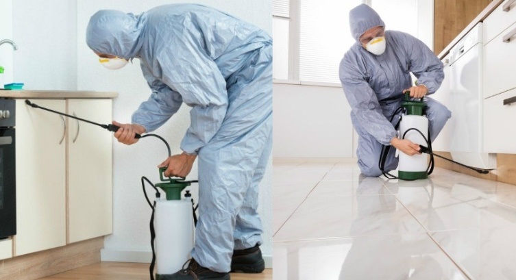 Профілактика плісняви восени та взимку: поради та рекомендації