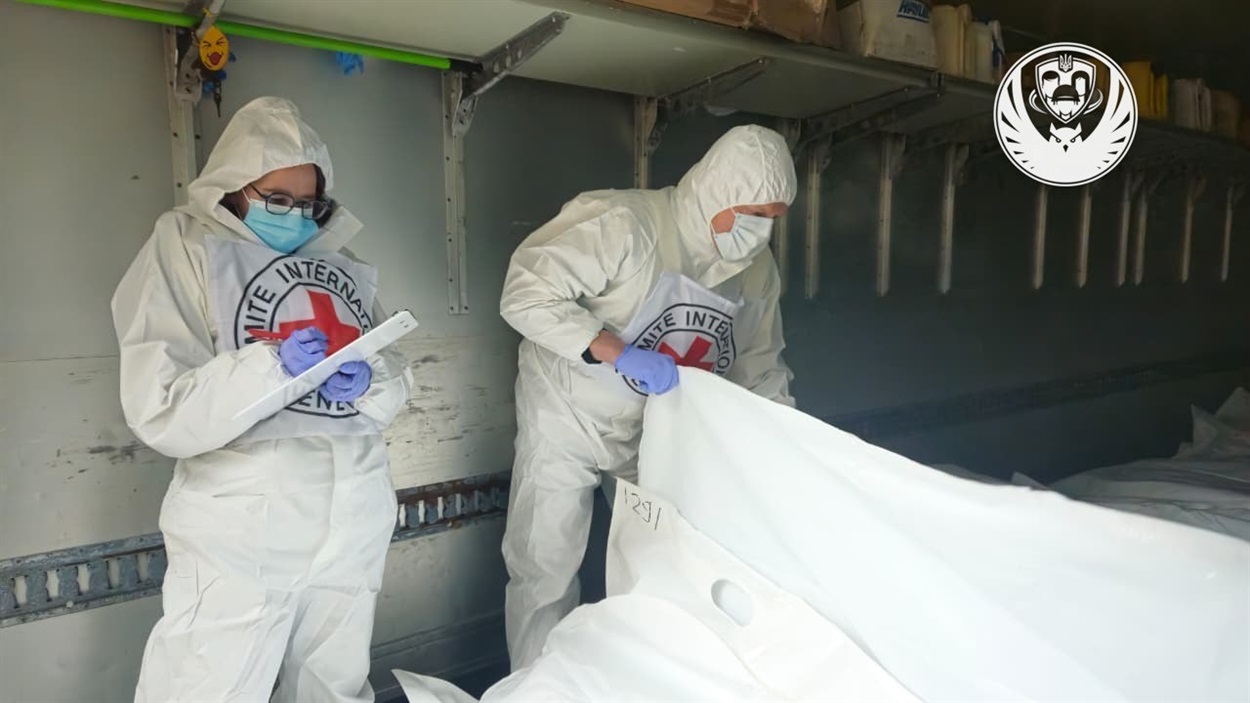 Україна повернула тіла 1003 загиблих військових у межах домовленостей з рф