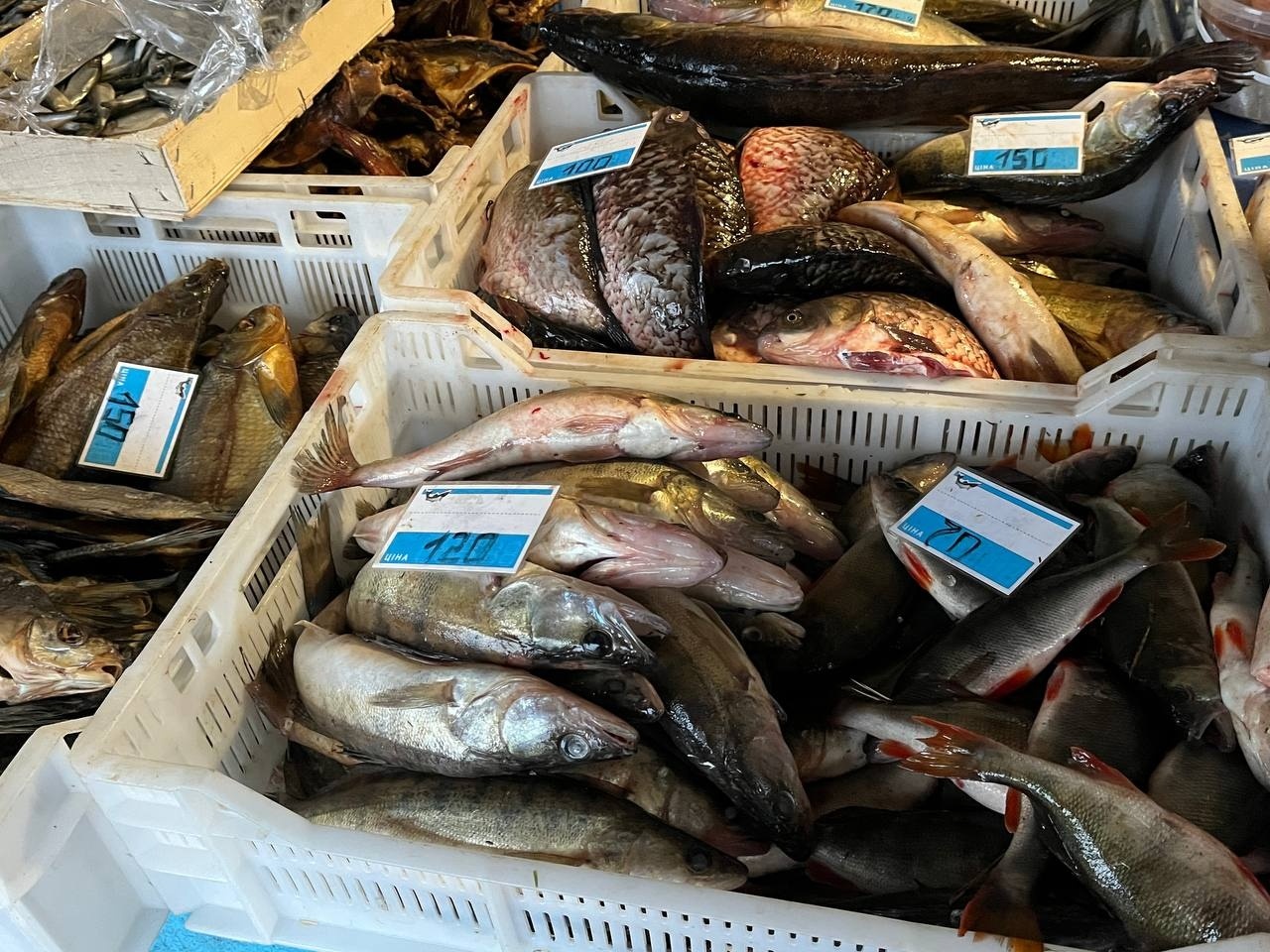 На базарі у Переяславі перед різдвяно‑новорічними святами зріс попит на свинину