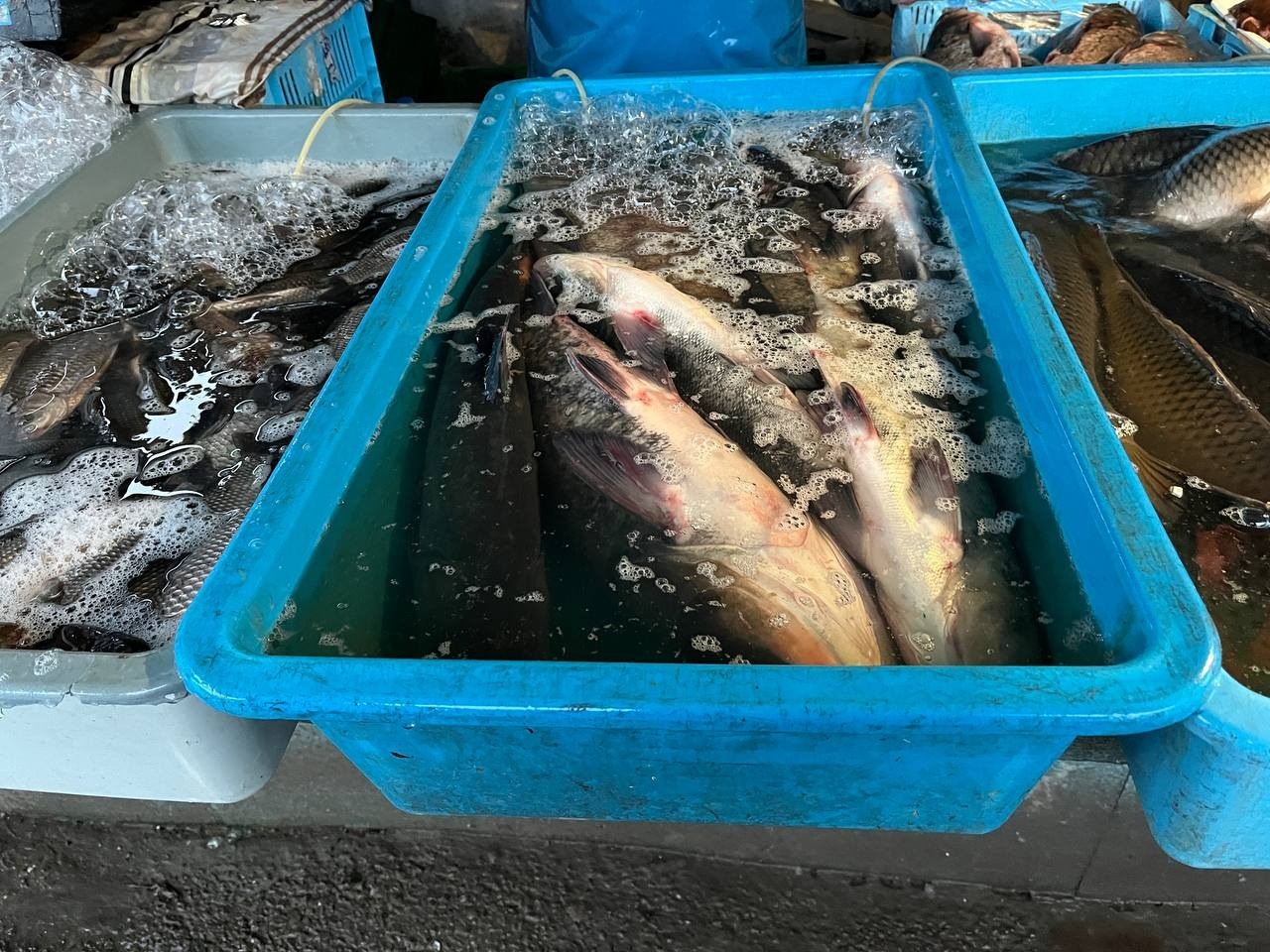 На базарі у Переяславі перед різдвяно‑новорічними святами зріс попит на свинину