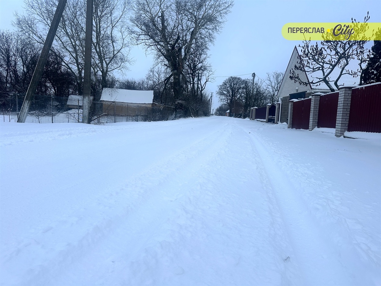 Вулиця в селі Переяславської громади 