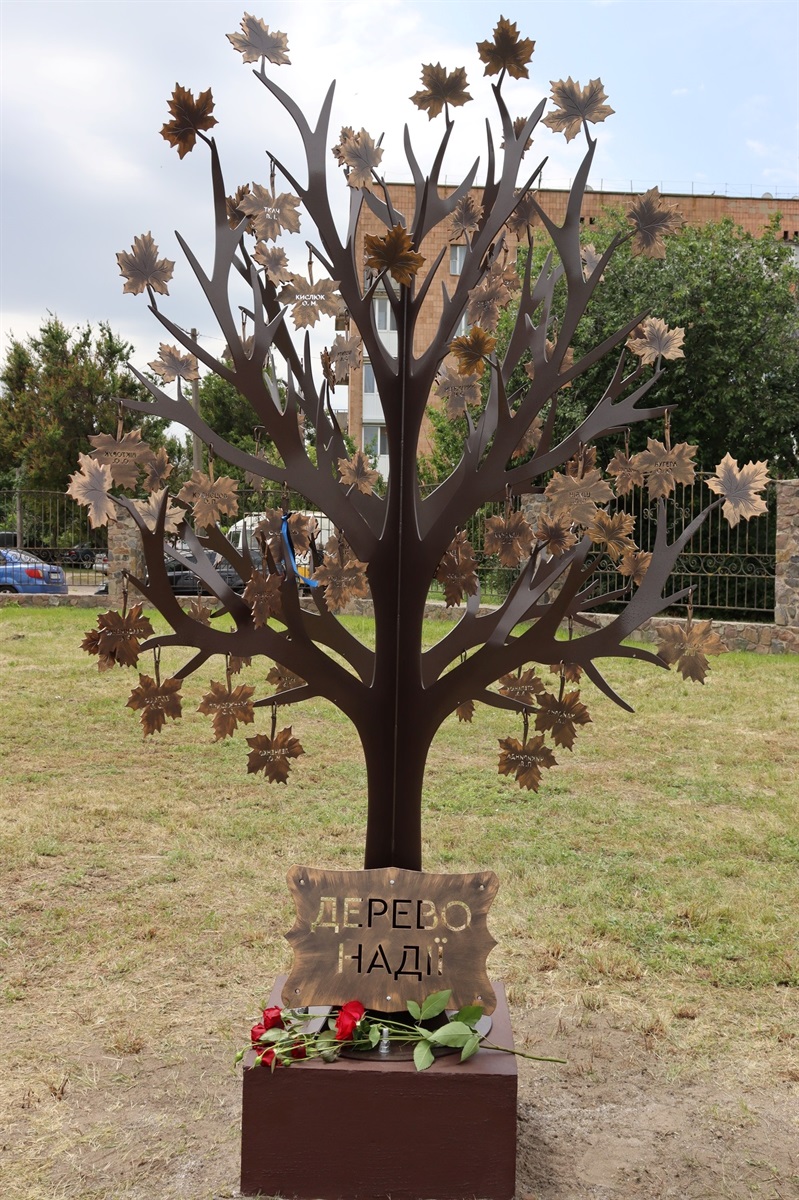 У Переяславі планують встановити 