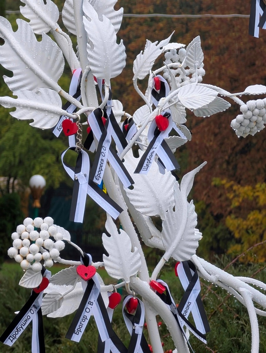 У Переяславі планують встановити 