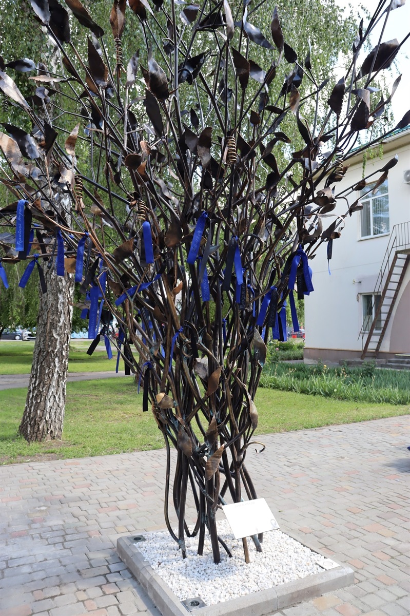 У Переяславі планують встановити 