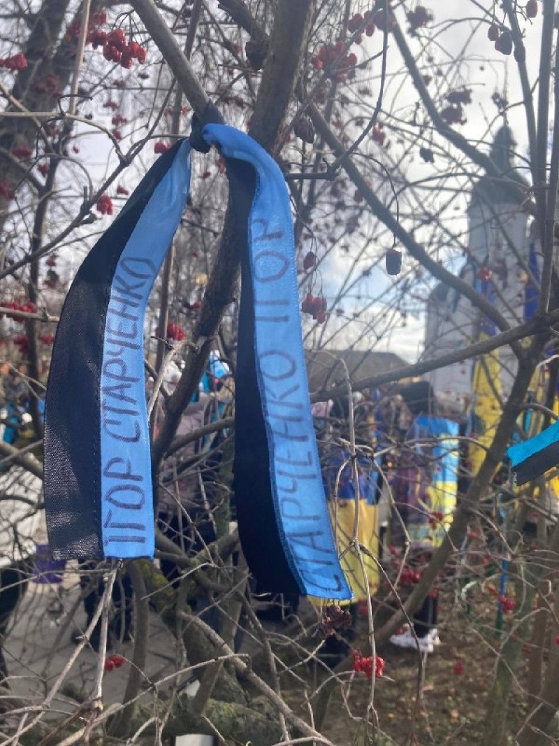 У Недригайлові кущ калини поблизу храму став "Деревом надії" з  синьо-чорними стрічками 