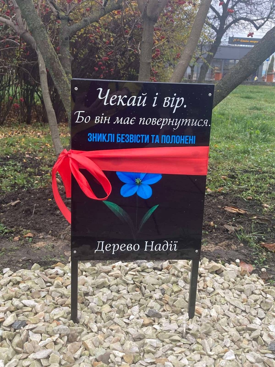 У Переяславі планують встановити 