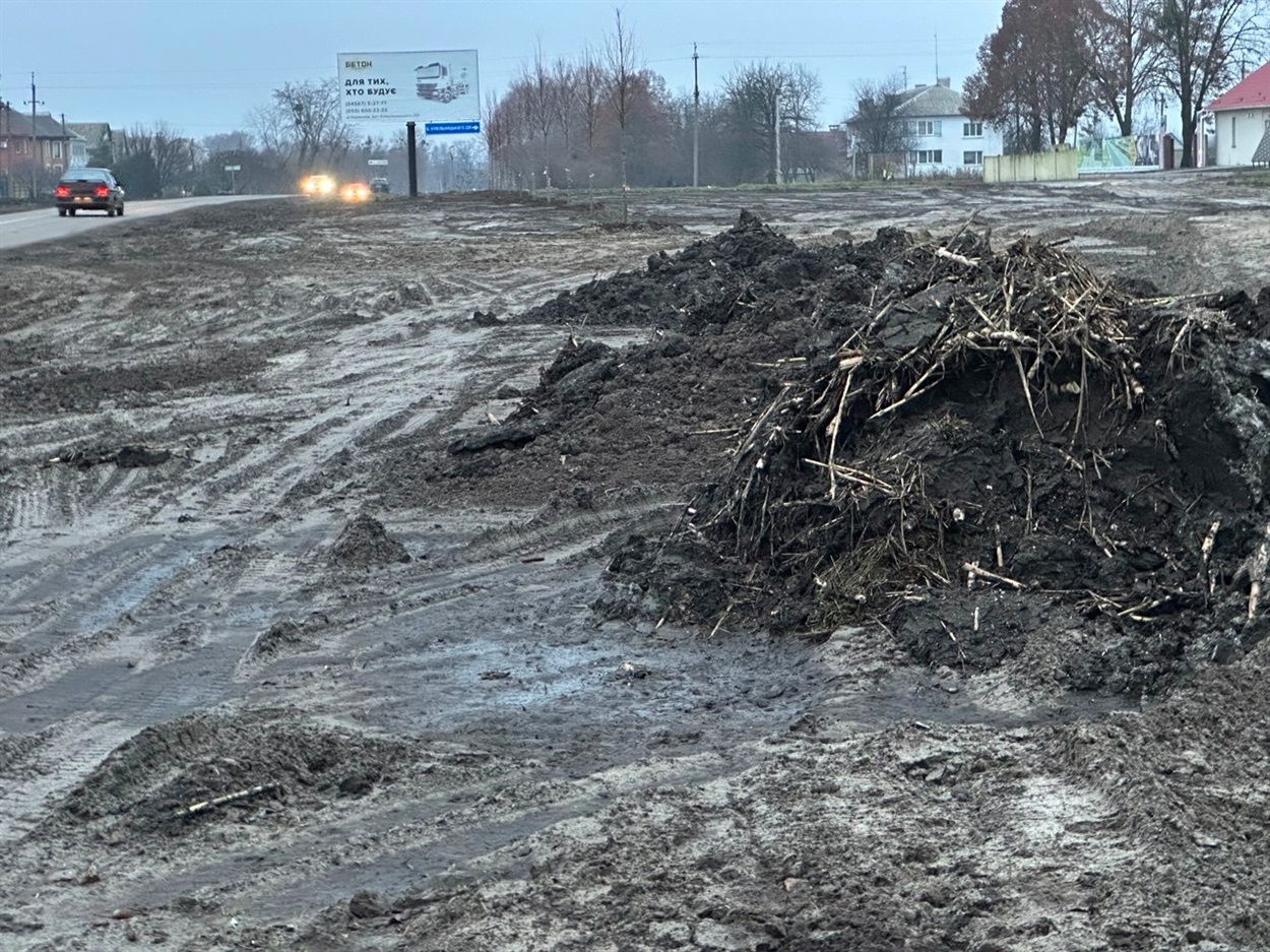 Вибраний з річки Альта мул вивозили на узбіччя дороги по вул. Б.Хмельницького на в'їзді в місто