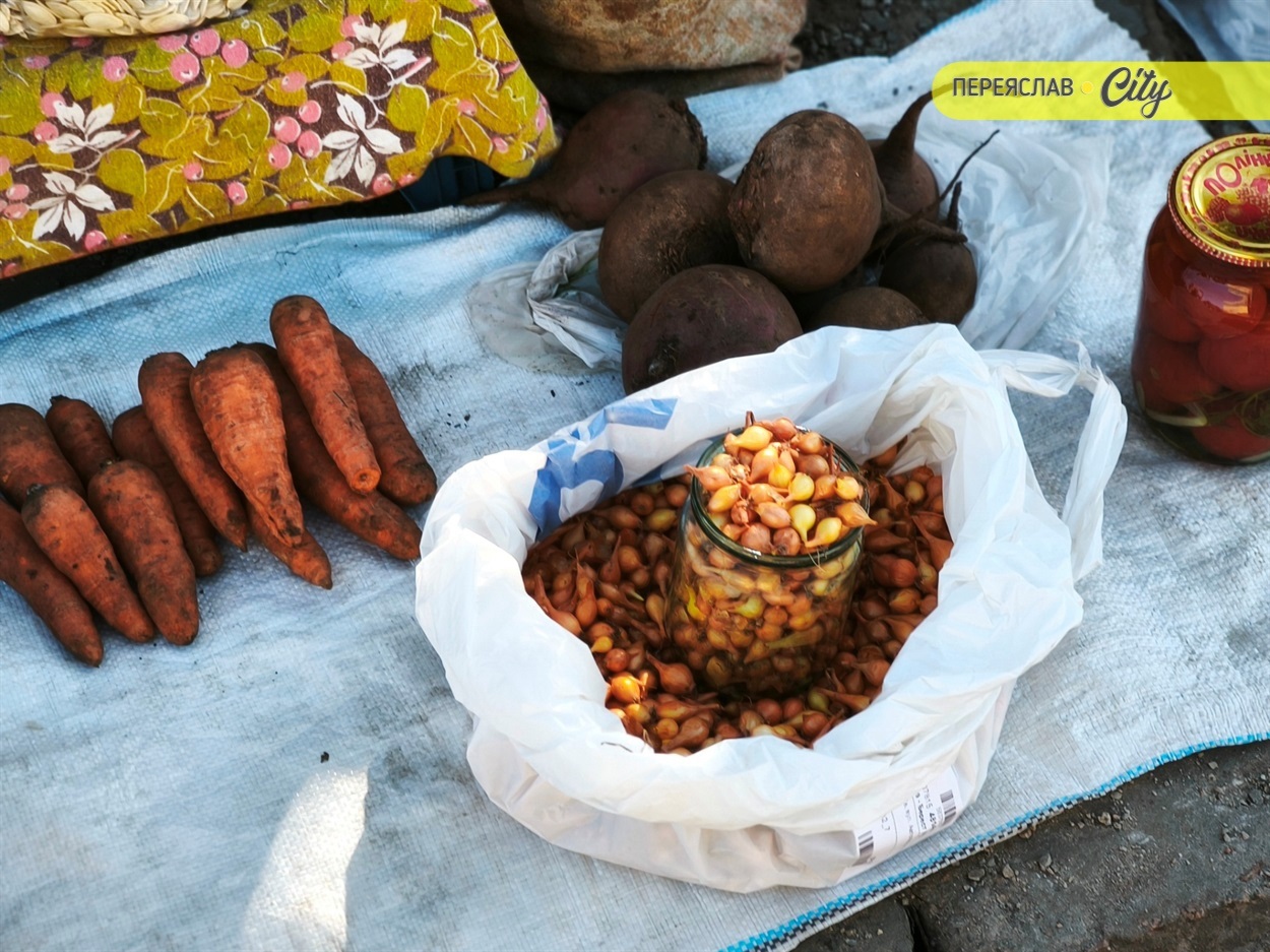 Цибуля на посадку від 25 грн.