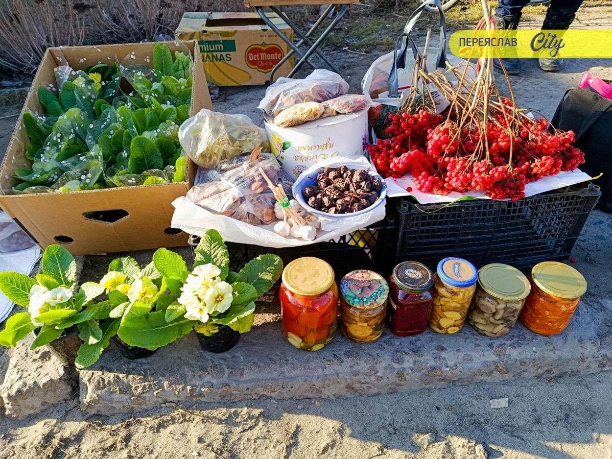 Весняні квіти від 60 грн