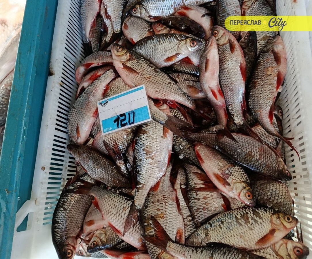 Карасі продавали по 120 грн/1 кг