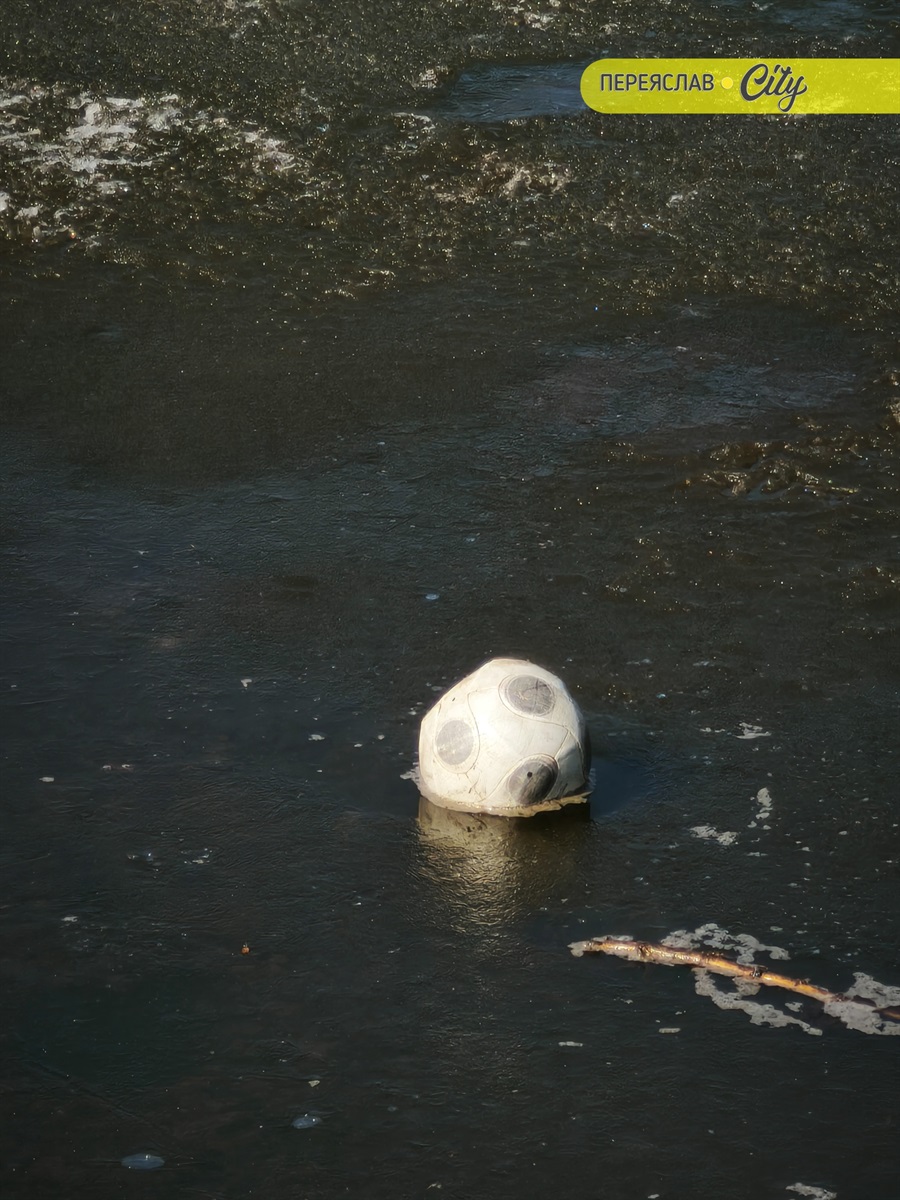 У межах річки Альта в Переяславі міськрада створює міський ставок №1
