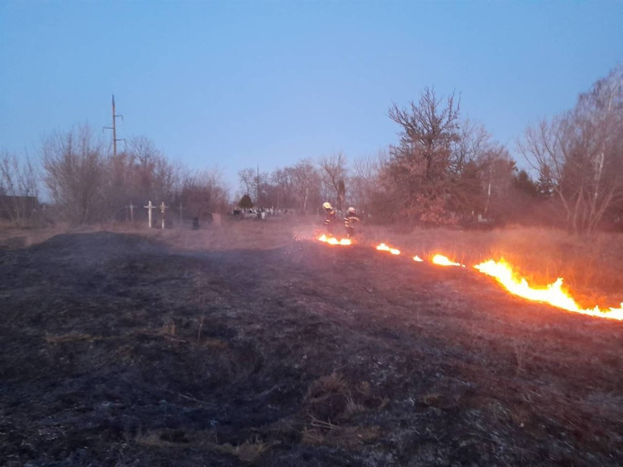 Займання трав'яного настилу