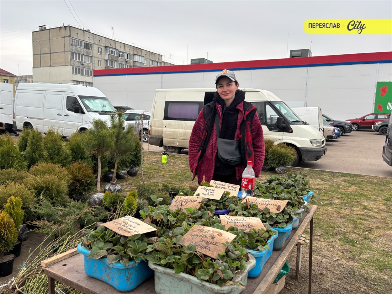 базар у переяславі сажанаці полуниці