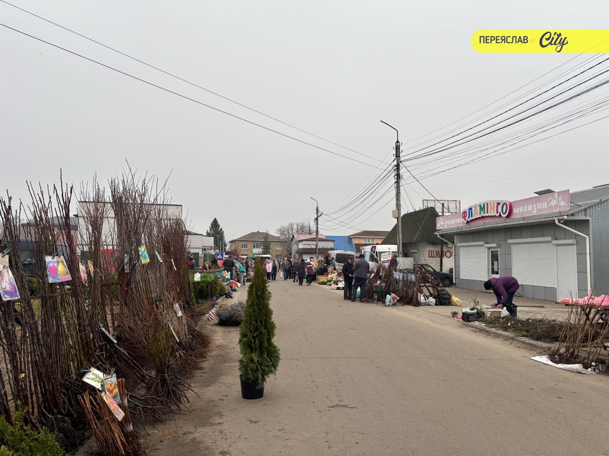 базар у переяславі сажанці дерев