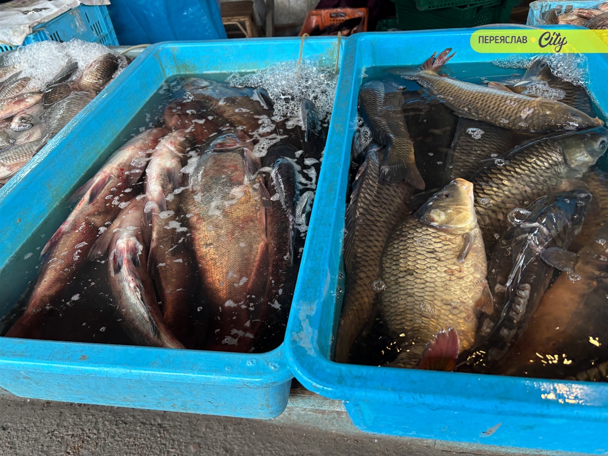 базар у переяславі ціни на живу рибу