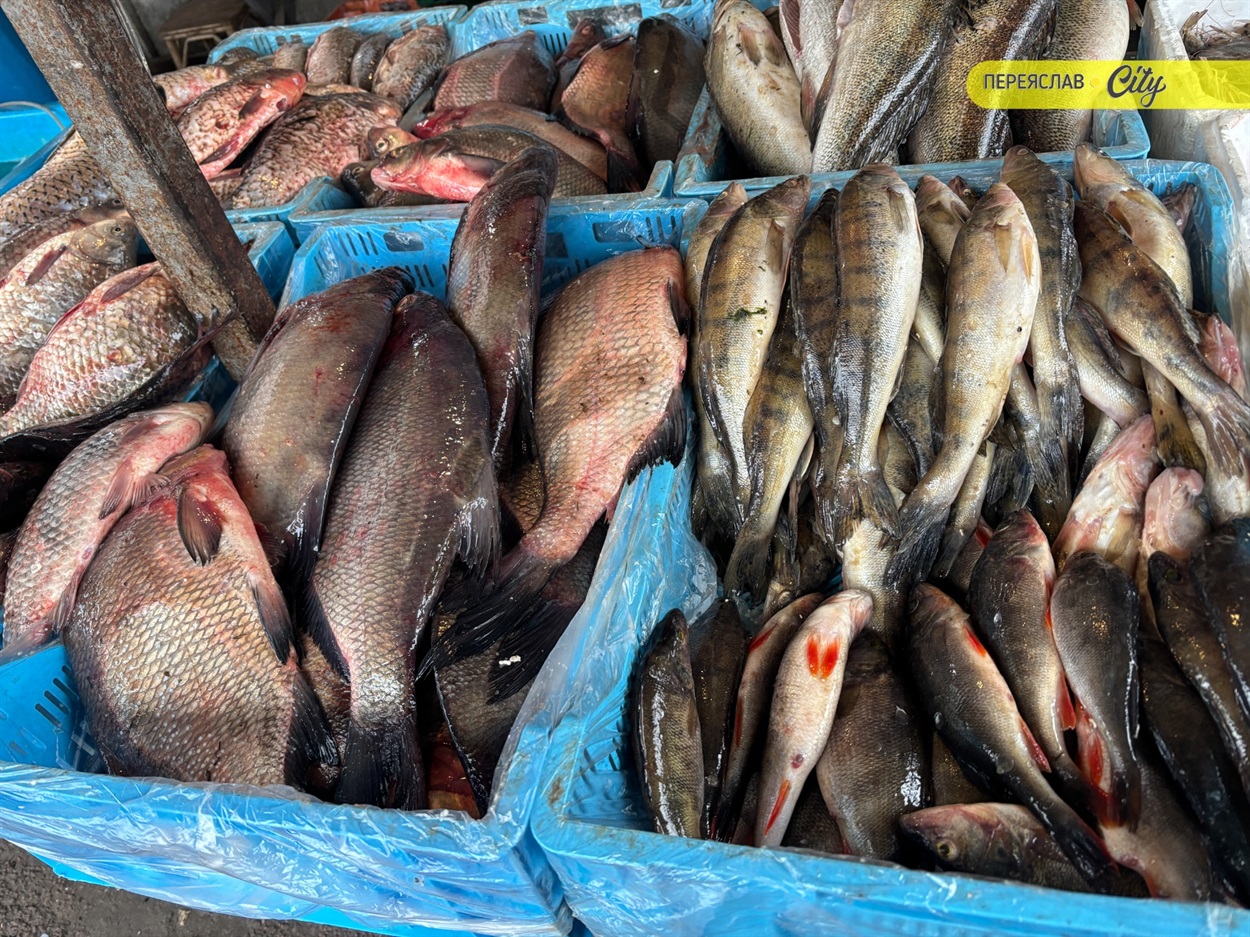 базар у переяславі ціни на свіжу рибу