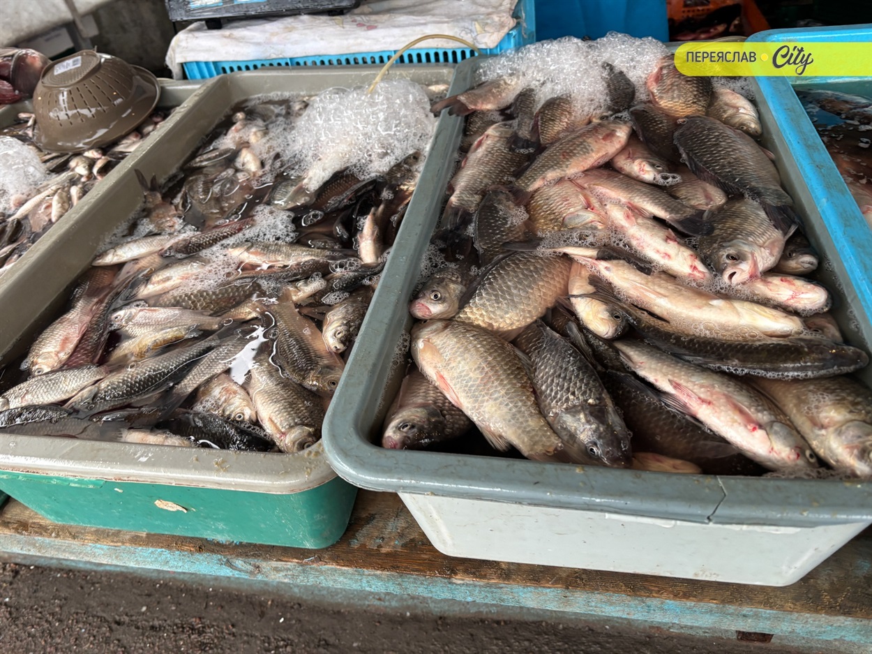 базар у переяславі ціни на живу рибу карасі