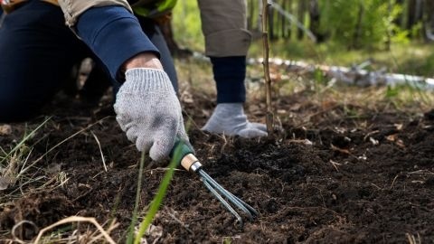 Місячний посівний календар на квітень 2026 року