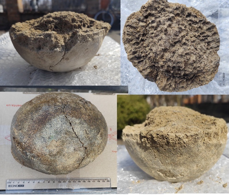 на околицях Переяслава виявили кістку мамонта