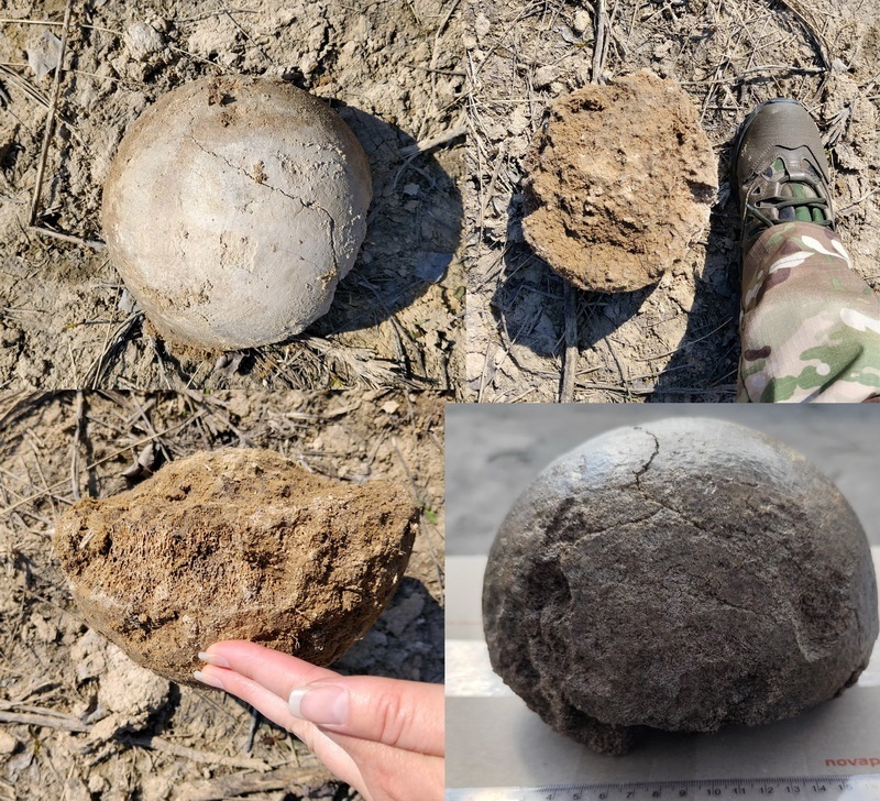 на околицях Переяслава виявили кістку мамонта