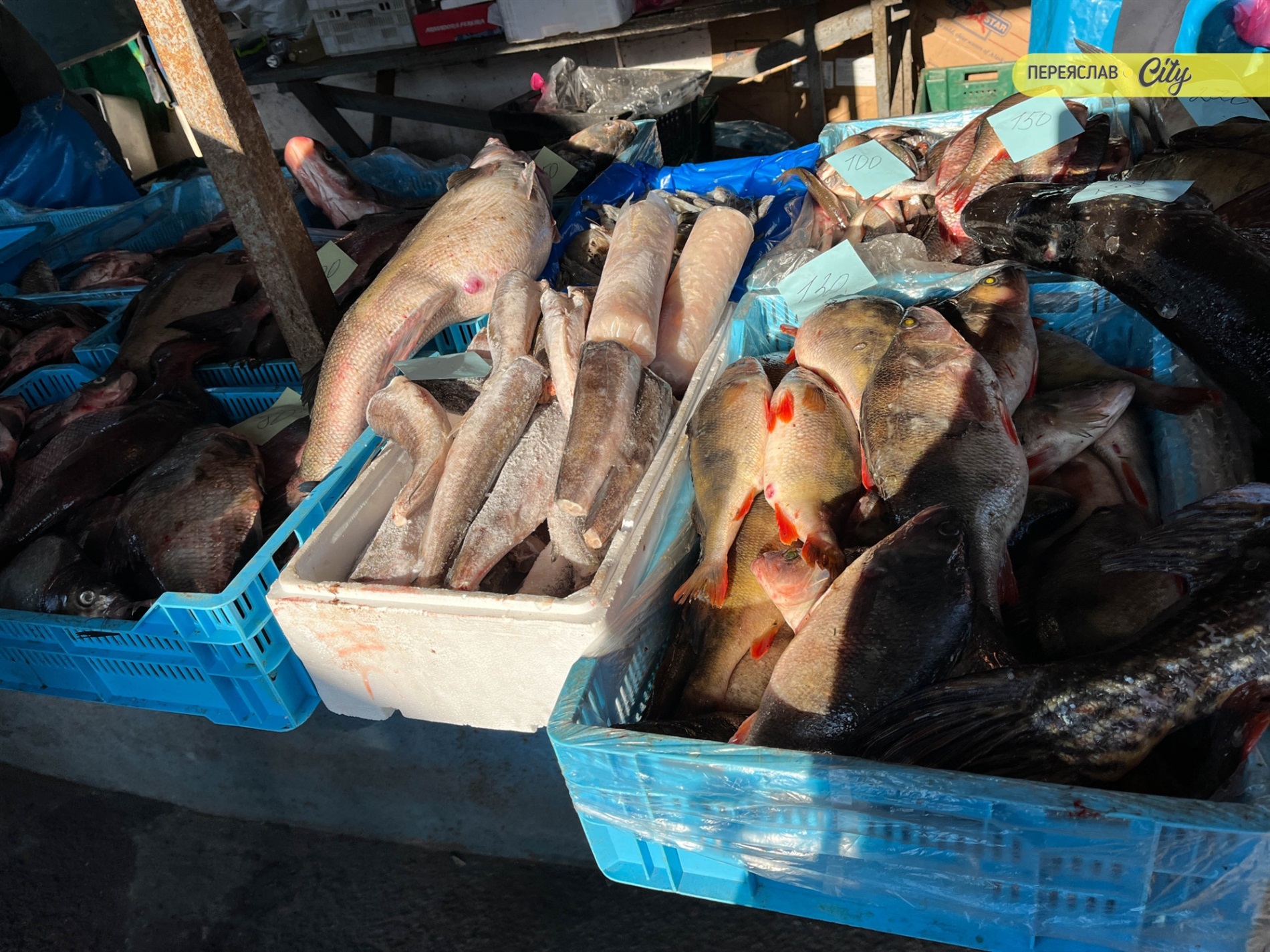 На базарі у Переяславі подорожчала курятина на 20 гривень, а свинячу підчеревину продавали по 380