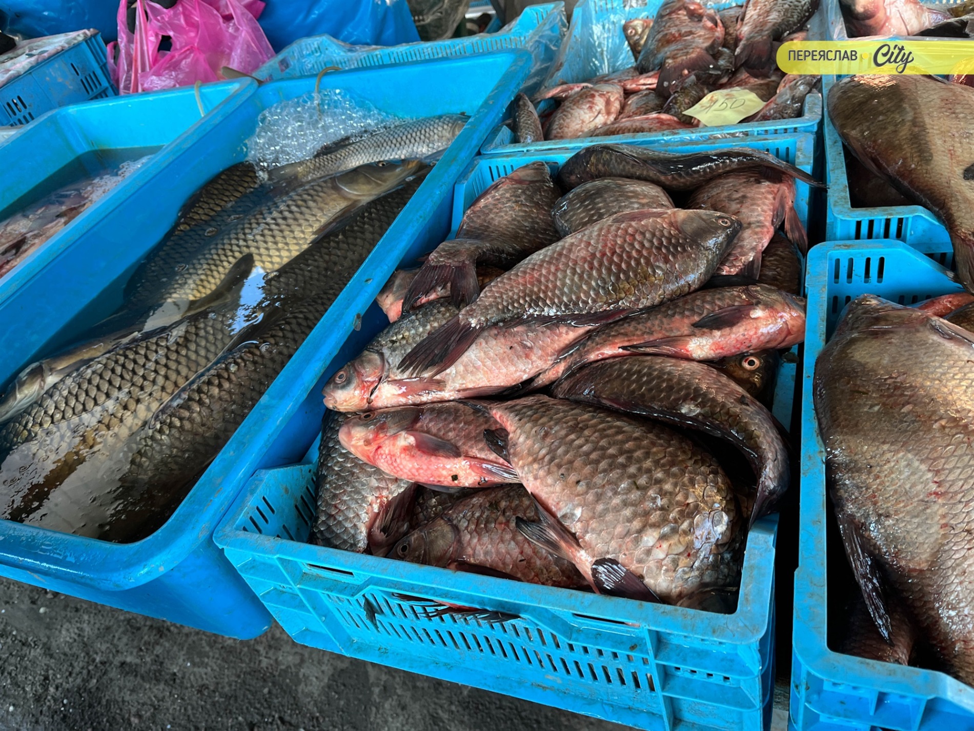 На базарі у Переяславі подорожчала курятина на 20 гривень, а свинячу підчеревину продавали по 380