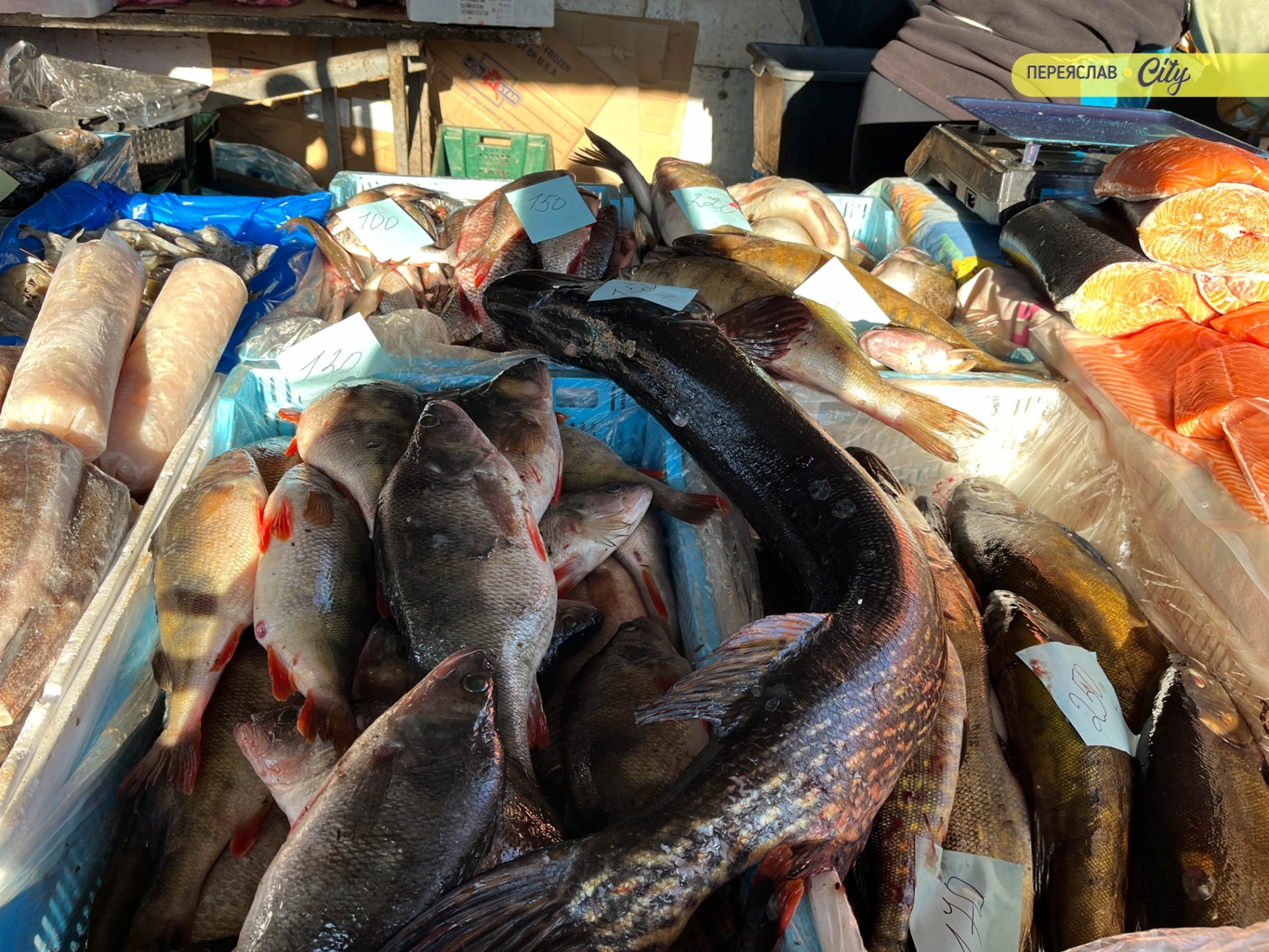 На базарі у Переяславі подорожчала курятина на 20 гривень, а свинячу підчеревину продавали по 380