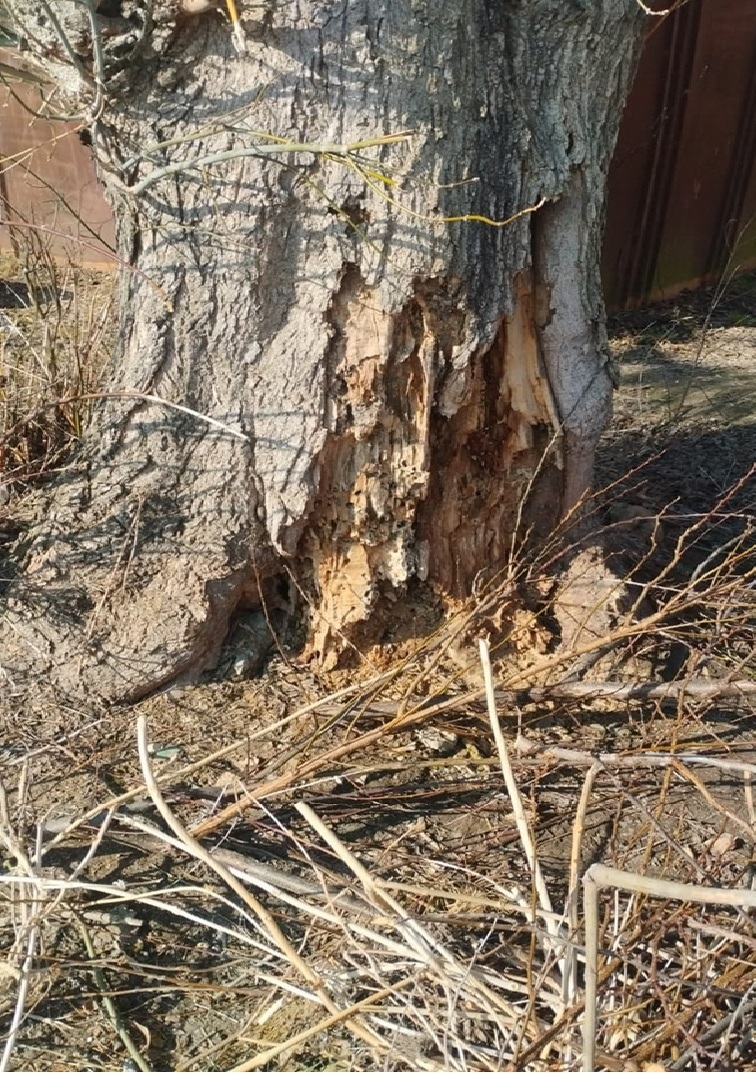 м. Переяслав, вул. Богдана Хмельницького, 97