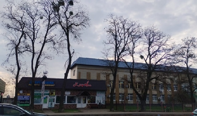 Переяслав, вул Шкільна