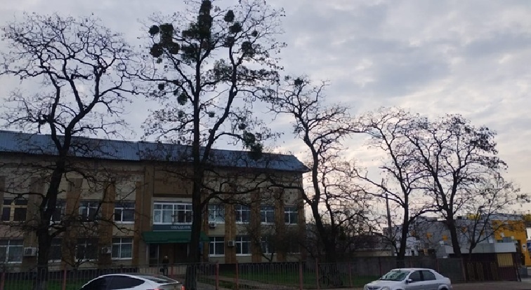 Переяслав, вул Шкільна