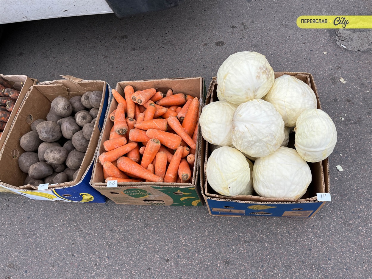 На базарі у Переяславі почали продавати розсаду огірків – по 25 гривень за рослину