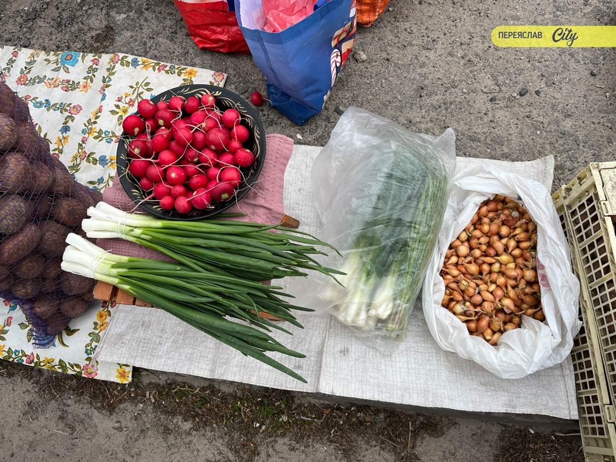 На базарі у Переяславі почали продавати розсаду огірків – по 25 гривень за рослину