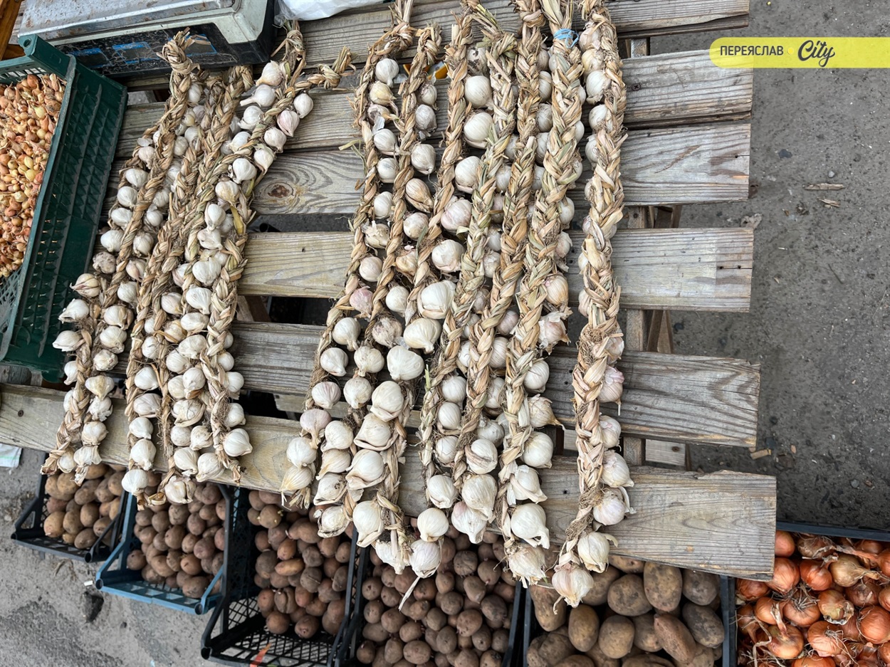 На базарі у Переяславі почали продавати розсаду огірків – по 25 гривень за рослину