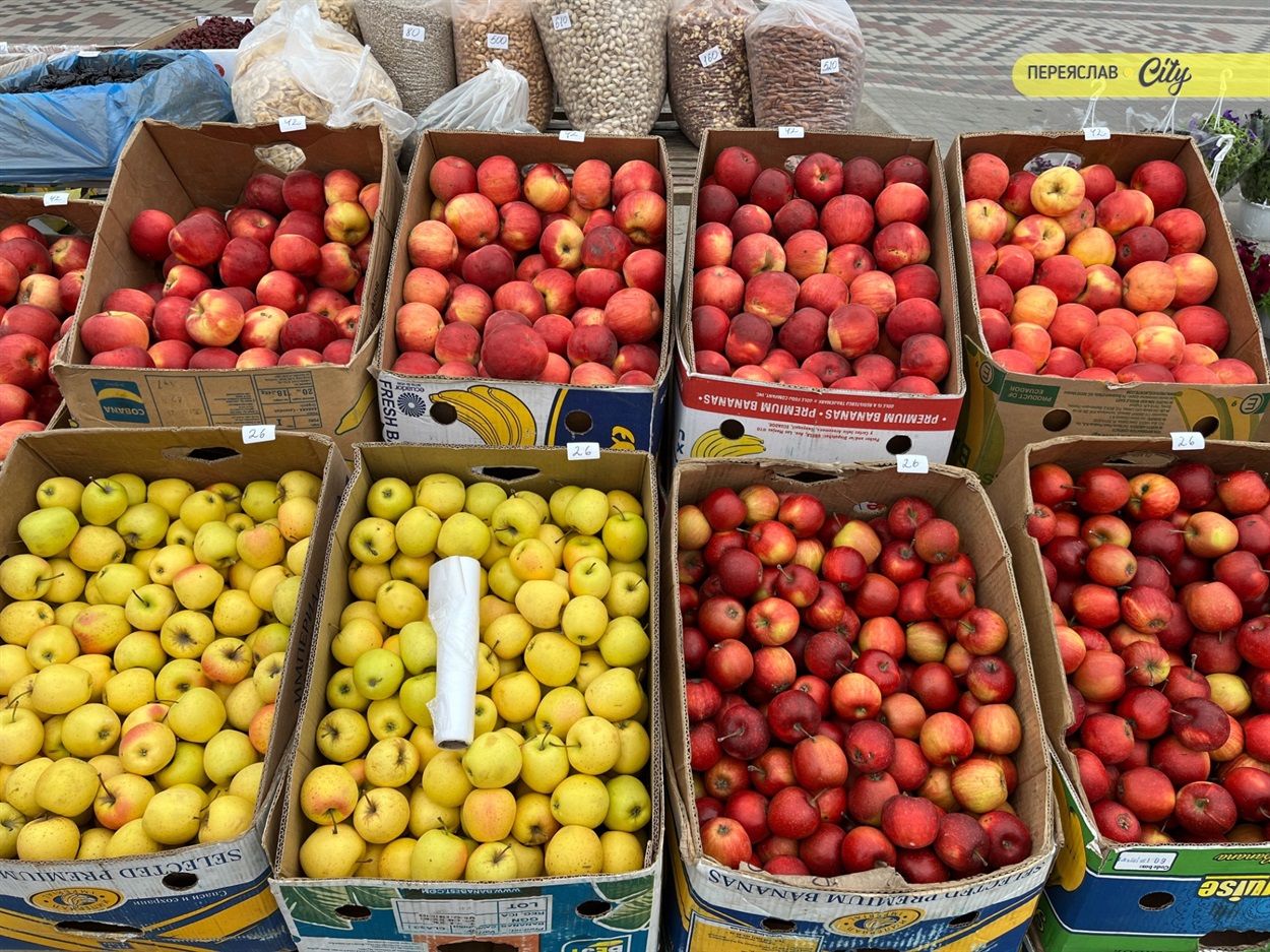 На базарі у Переяславі почали продавати розсаду огірків – по 25 гривень за рослину