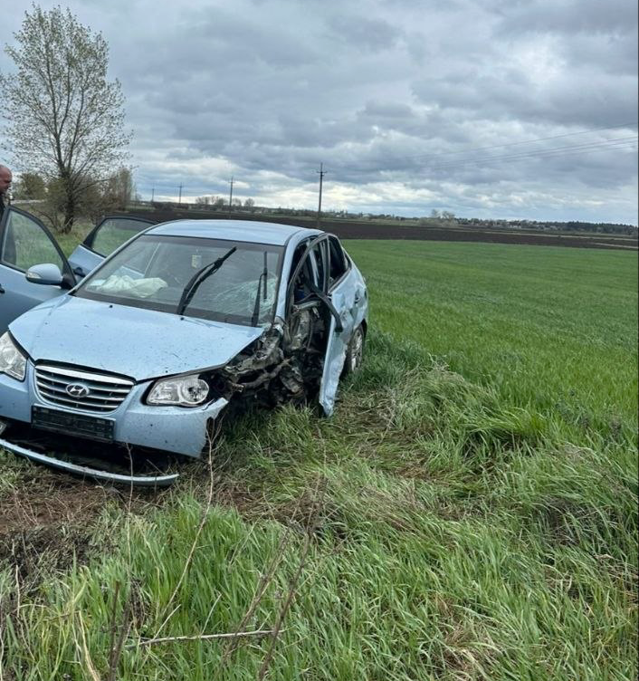 Буревій на Переяславщині повалив дерева і наробив шкоди: хроніка поліції