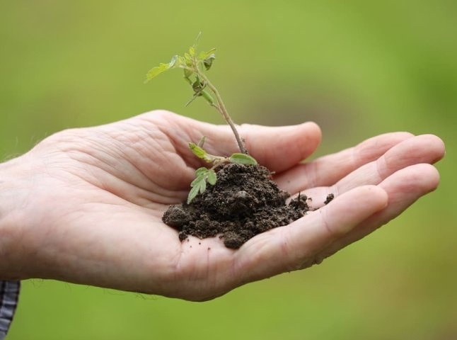 Місячний посівний календар на травень 2026 року