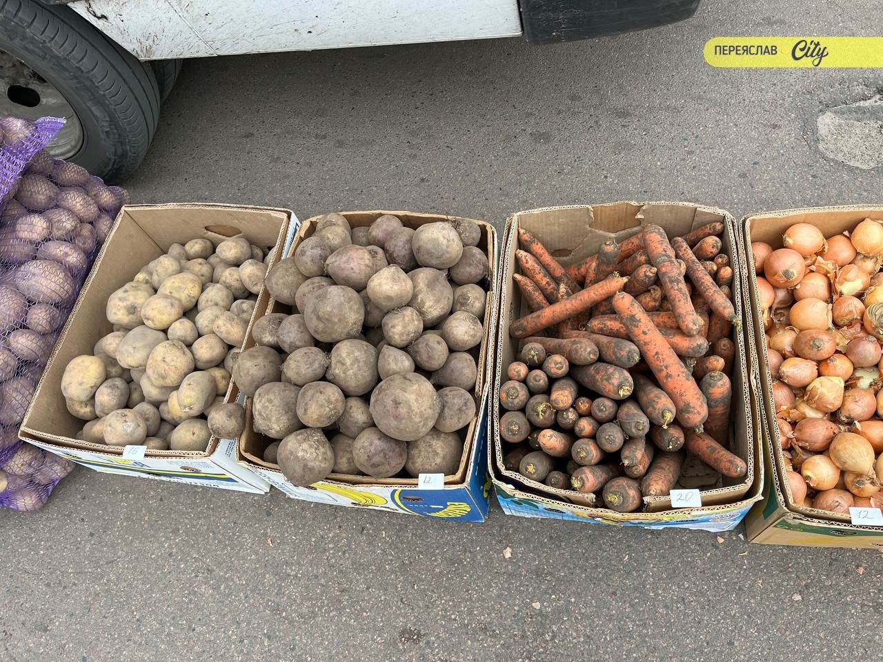 На базарі в Переяславі розсаду помідорів продають по 50-80 гривень, а капусту і перець по 70