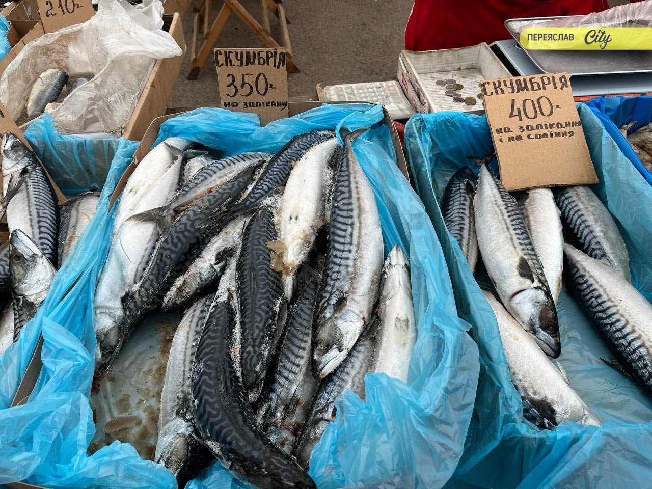 На базарі в Переяславі розсаду помідорів продають по 50-80 гривень, а капусту і перець по 70