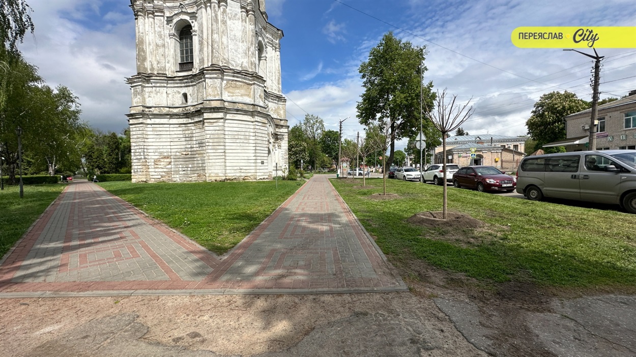 У Переяславі висадили шестиметрові іспанські платани по 20 тисяч за деревину, а ще катальпи і сакури