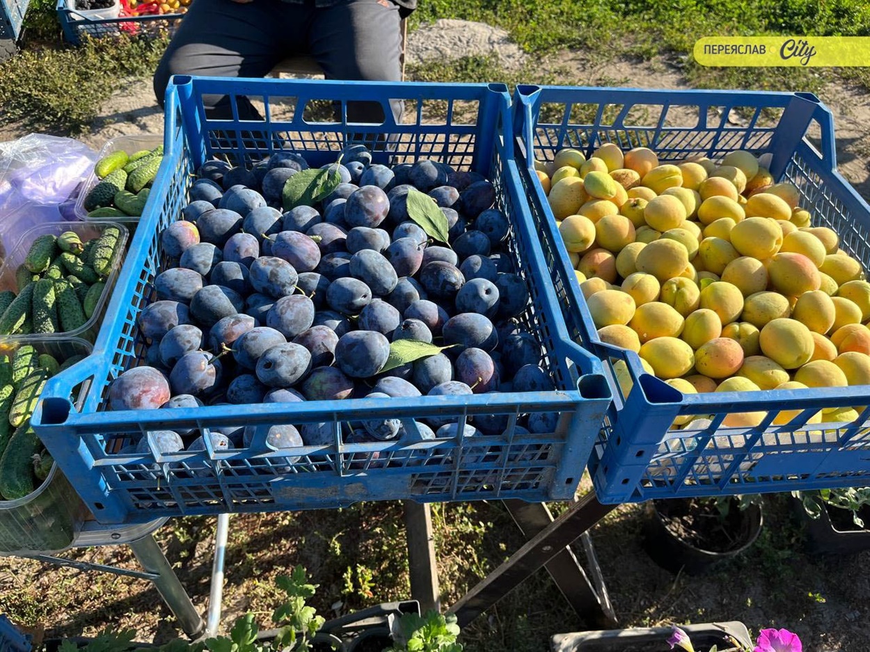У Переяславі на базарі почали продавати місцеві кавуни по 22 гривні, кукурудзу й дивні огірки
