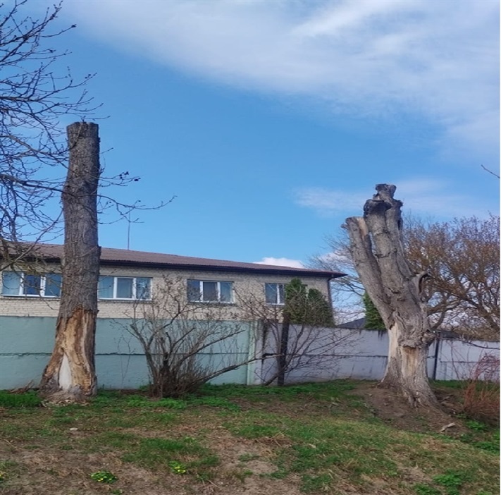 м. Переяслав, вул. вул. Тараса Шевченка, 2