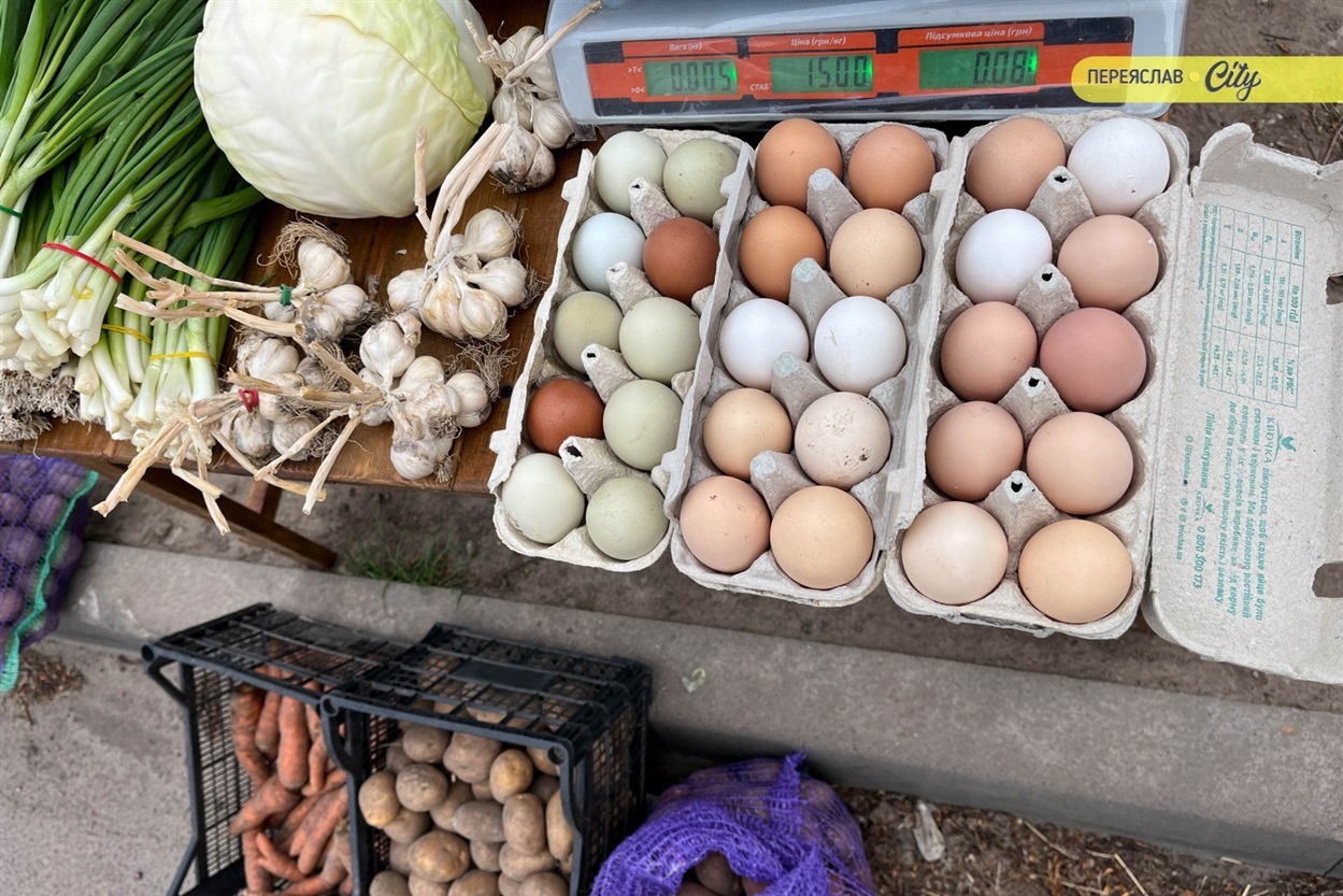 На базарі у Переяславі почали продавати розсаду огірків – по 25 гривень за рослину