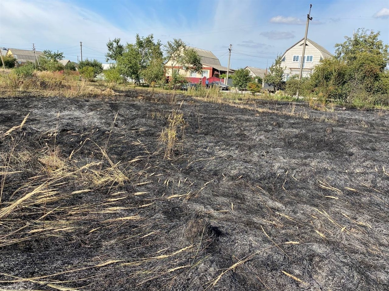 Горіла трава неподалік будинків