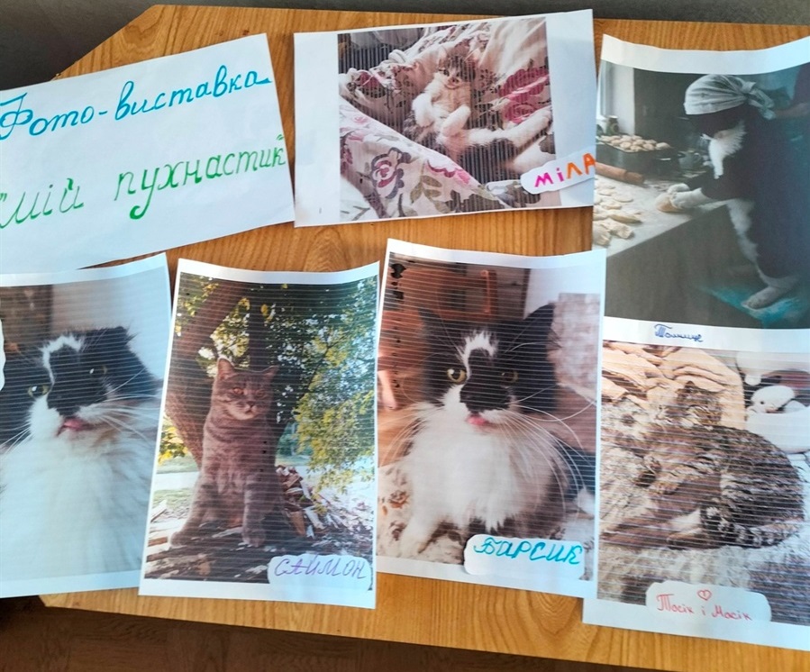 У переяславському ліцеї "Патріот" провели благодійну акцію на підтримку притулку "Кіт у чоботях"