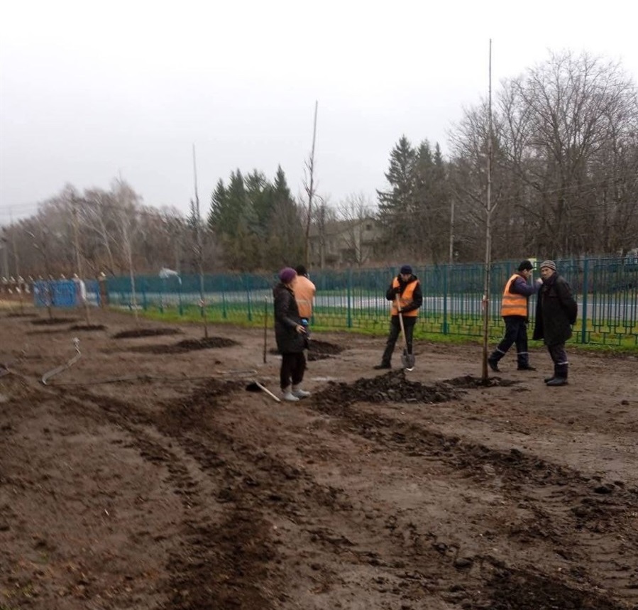 Комунальники посадили перед Переяславською гімназією №4 в мікрорайоні Підварки 10 сакур